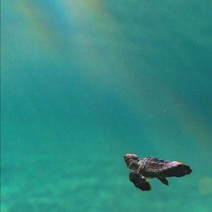 Meet your Posher, Stefanie